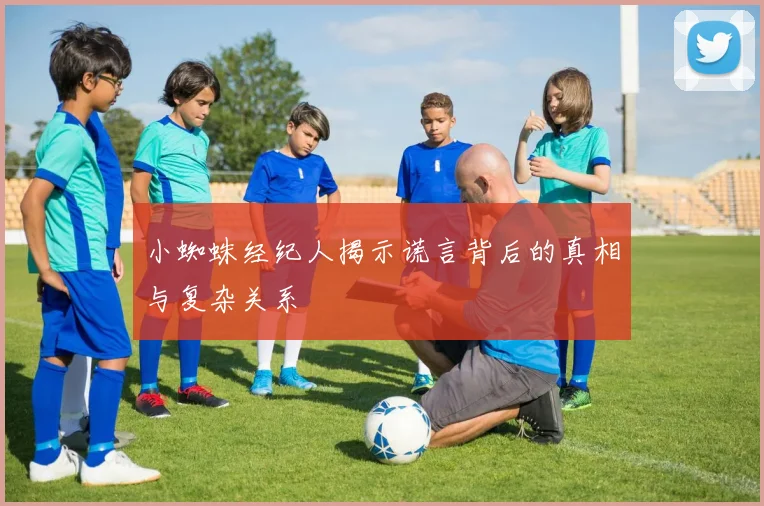 小蜘蛛经纪人揭示谎言背后的真相与复杂关系